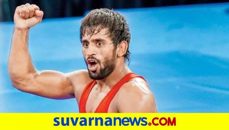 Wrestler Bajrang Punia Wins Gold At Matteo Pellicone Ranking Series kvn