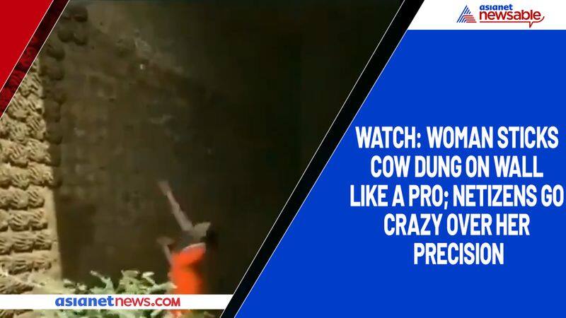 Watch Woman sticks cow dung on wall like a pro; netizens go crazy over her precision