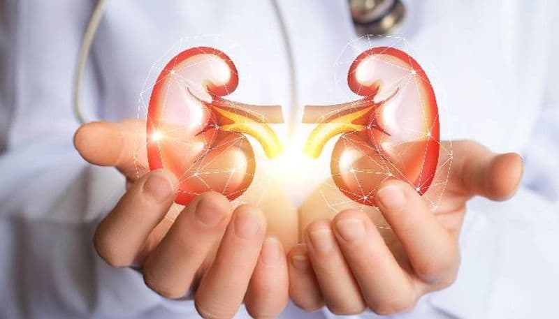 tips to help keep your kidneys healthy