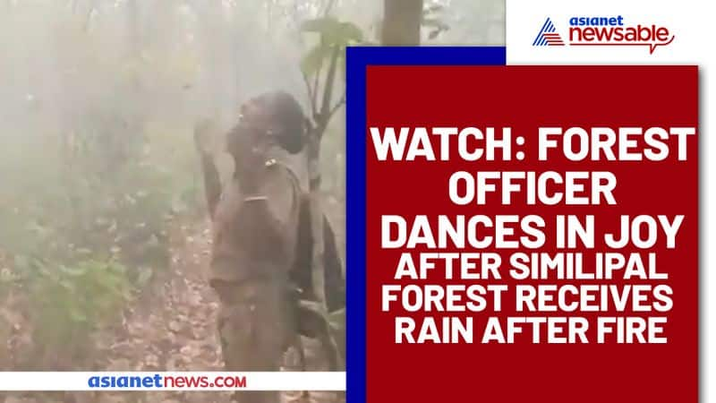 Viral video: Woman officer dances in joy as Similipal Forest finally receives rain after fire - gps