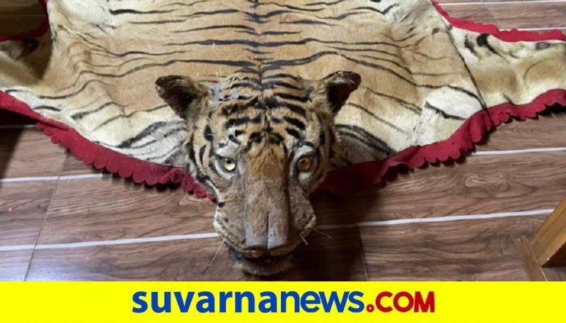 Chikkamagaluru police arrest man trying to sell tiger skin snr