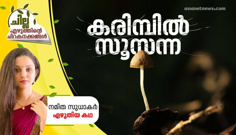 chilla malayalam short story by Namitha Sudhakar