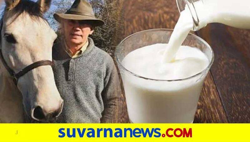 British farmer becomes millionaire selling horse world milk costliest milk