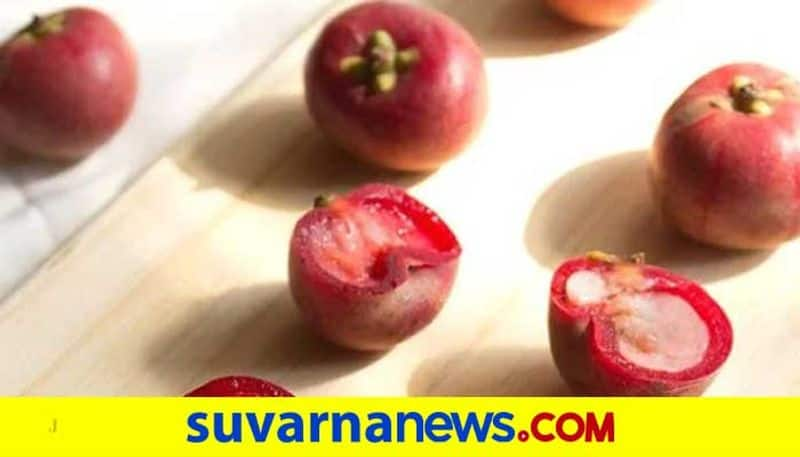 Kokum health benefits and recipe of making its juice