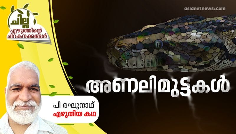 chilla malayalam short story by P Raghunath