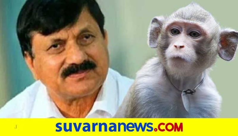 What action has been taken by the government to stop the monkeys questions MLA araga jnanendra mah