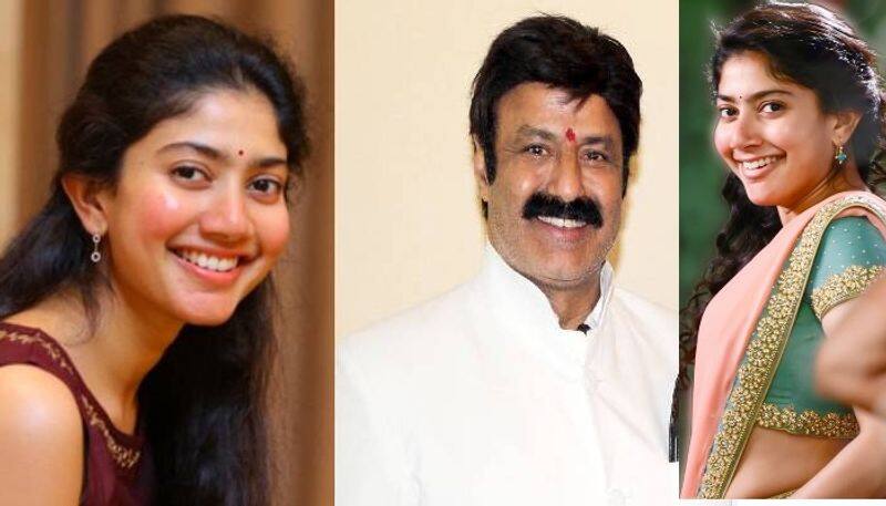 sai pallavi acts as balakrishna sister in young director movie  arj