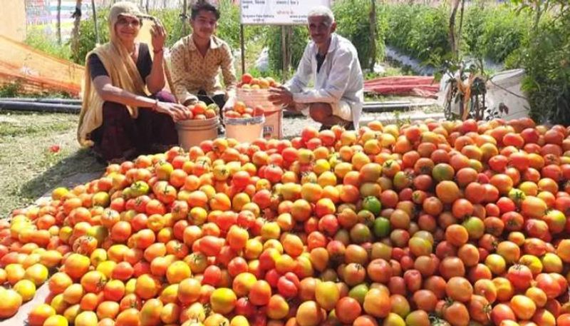 this Rajasthan farmer earns 4 Lakh per year