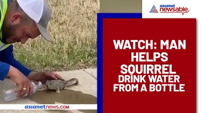 Man assists squirrel to drink water from a bottle; Watch adorable video - gps