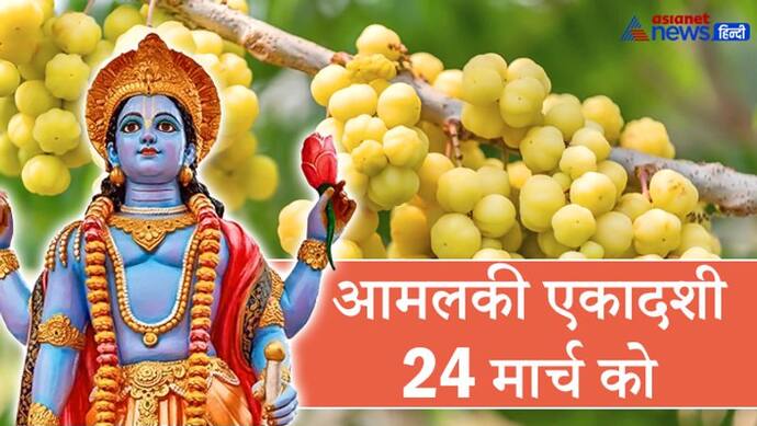 24 मार्च को इस विधि से करें आमलकी एकादशी का व्रत और पूजा, शुभ फल पाने के लिए ये उपाय भी करें