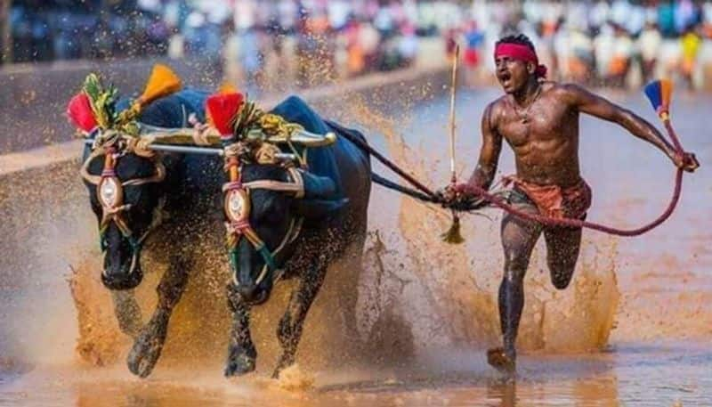 Indian Bolt Srinivas Gowda sets new record in Kambala racing