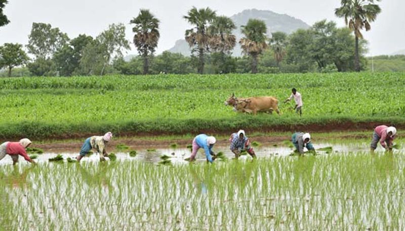 Impact of COVID 19 on farmers Life snr