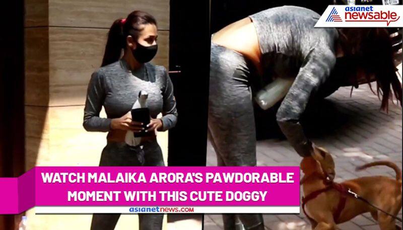 Malaika Arora's cute encounter with a doggo; Watch adorable video - ank