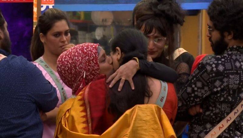 majiziya bhanu eliminated from bigg boss 3