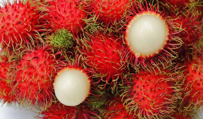 market bought rambutan and nipah virus post by dr k p aravindan