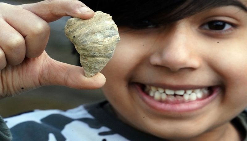 Indian-origin boy in England unearths rare fossil in his house - bsb