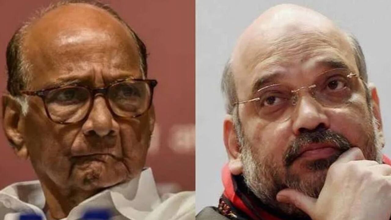 Everything can't be made public: Amit Shah on meeting NCP chief Sharad Pawar