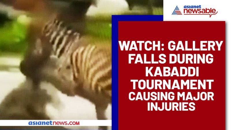 Horrifying Moment: Zebra makes lucky escape from the jaws of a crocodile; Watch video - gps