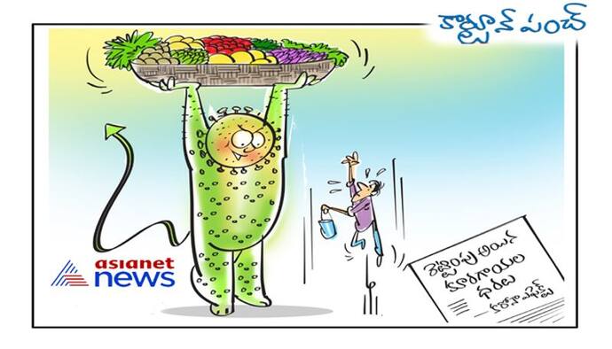 cartoon