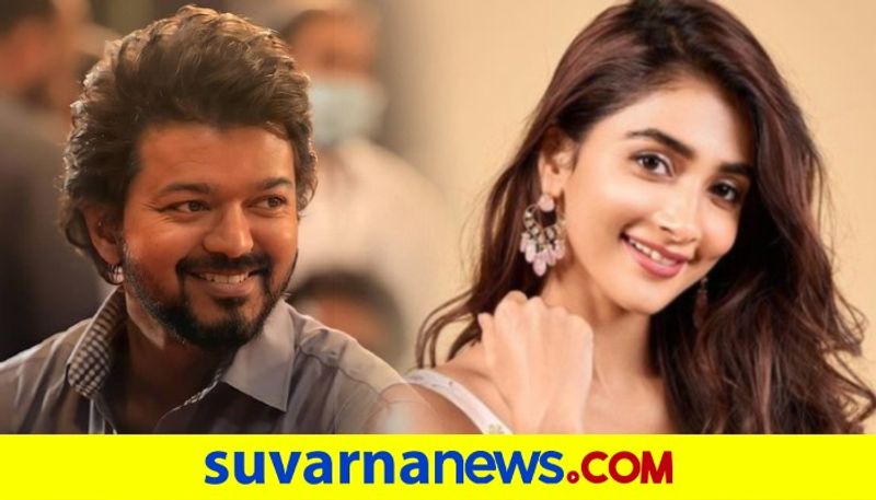 Pooja Hegde Skips Thalapathy65 Launch dpl