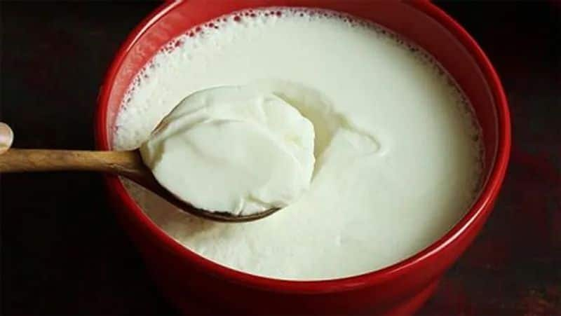 Foods you should never eat after having curd?