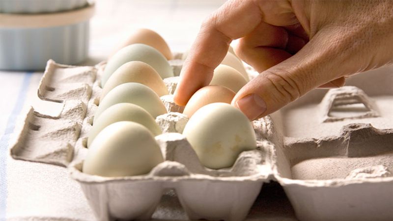 Egg sales get cracking during pandemic riding on protein power