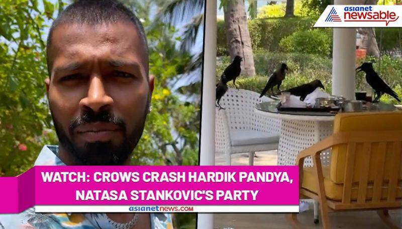 Hardik Pandya, wife Natasa Stankovic's party crashed by uninvited guests (Watch video) - ayh