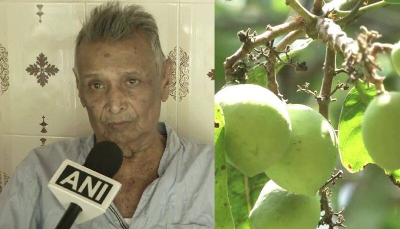 cute story of 84 year old man who becomes famous as mango man