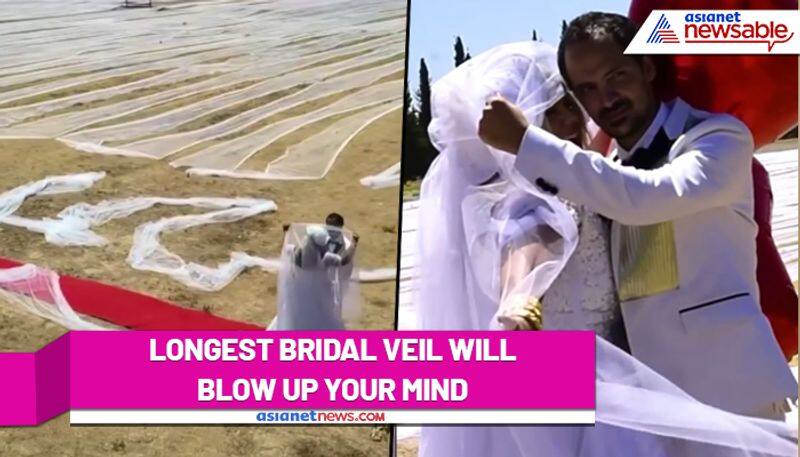 Brides veil of 6,962.6 metres wins Guinness World Record title, Watch viral video - ank