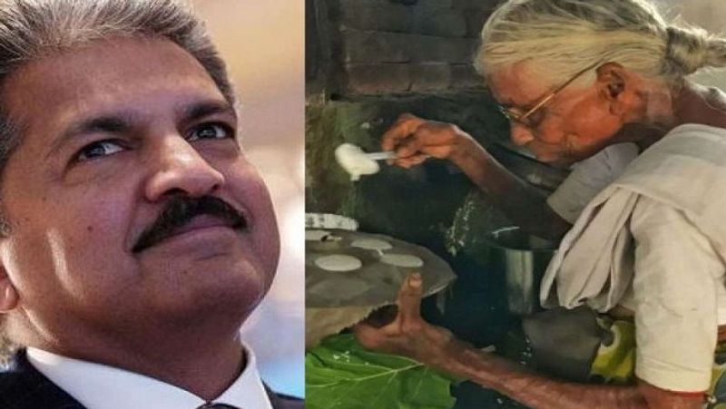 Anand Mahindra reveals Tamil Nadu Idli Amma will soon have her own house ckm