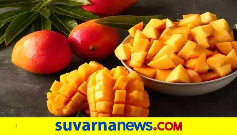 King of fruits mango Health benefits of Indian National Fruit