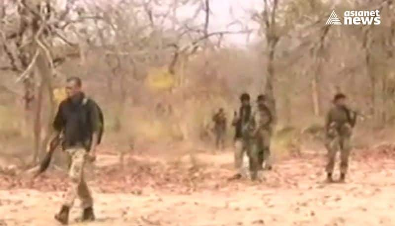 At Least Five Naxals Killed in Separate Encounters in Chhattisgarh, Telangana Border