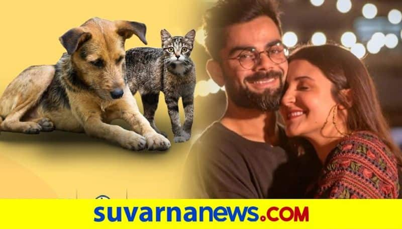 Virat Kohli opens two animal shelters in Mumbai dpl