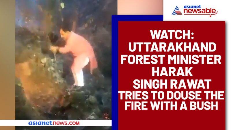 Uttarakhand Forest Minister tries to douse fire with a bush; Viral video - gps