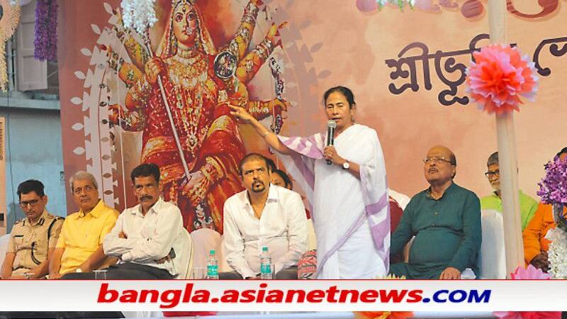 Mamata Durga puja