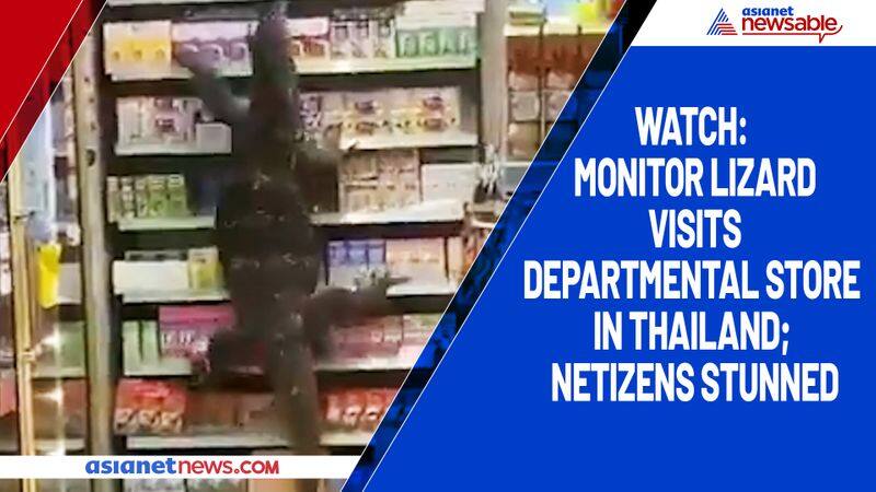 Watch Monitor lizard visits departmental store in Thailand; netizens stunned-tgy