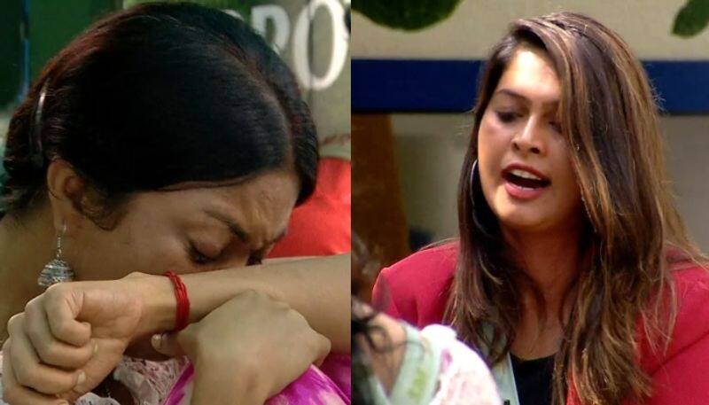 sajina calls surya fake and she broke down in bigg boss 3