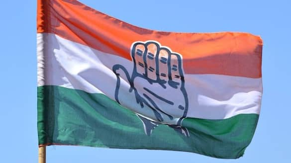 Congress MLA Vinay Kulkarni's Daughter Vaishali Name Likely Final in Shiggaon Byelection Ticket gfg