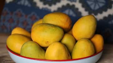 Bahrain Promotion programme for Indian mangoes begins