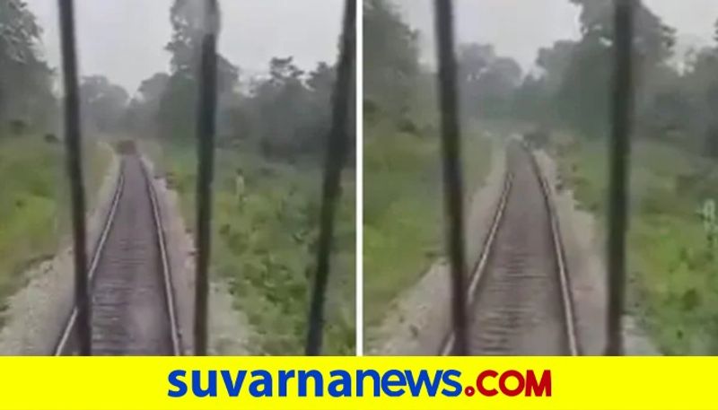 Loco pilots stop train to let elephant cross the track in Alipurduar district in WB pod