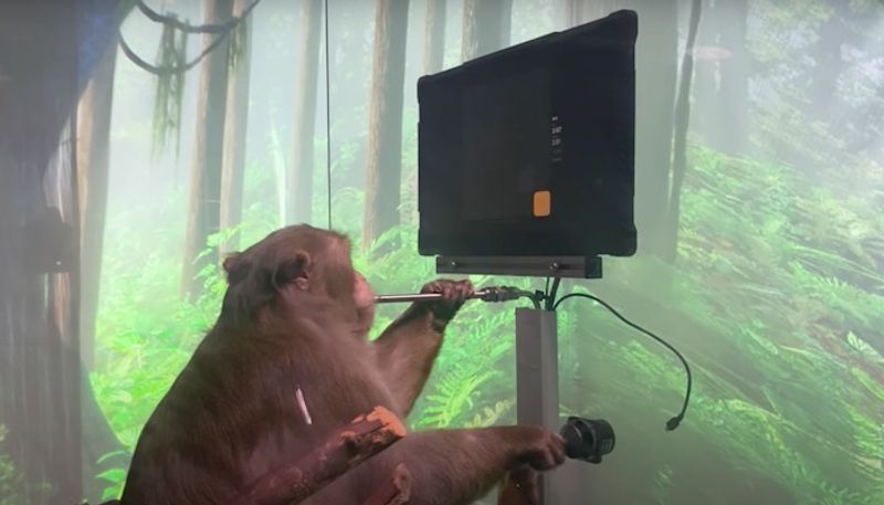 OMG Monkey playing video games? Elon Musk's Neuralink shows something like that (Watch) ANK