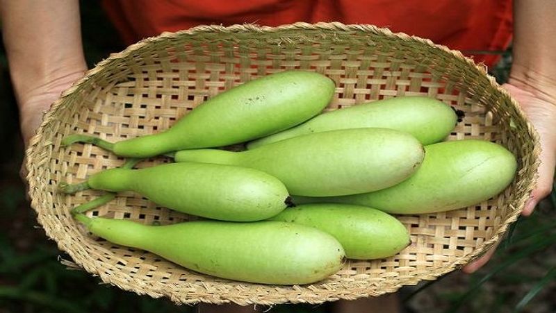 Fibers, Vitamins and Nutrients Health benefits of eating bottle gourd