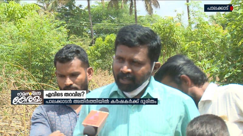 palakkad tapioca farmers in crisis