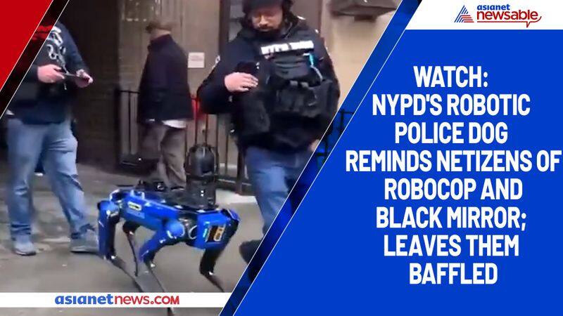 Watch NYPD's robotic police dog reminds netizens of Robocop and Black Mirror; leaves them baffled-tgy