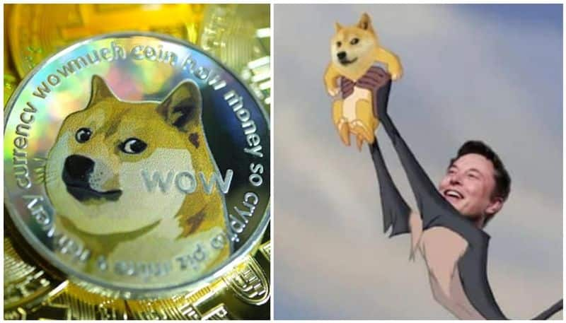 Elon Musk meme cryptocurrency Dogecoin is on a rise can be next Bitcoin