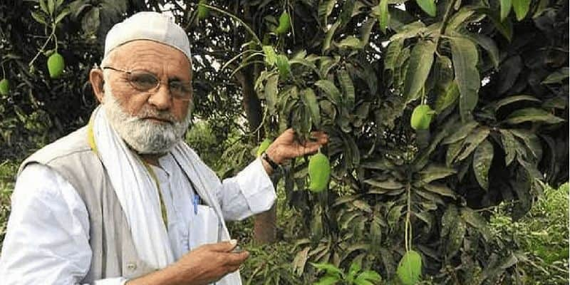 300 mango varieties in one tree