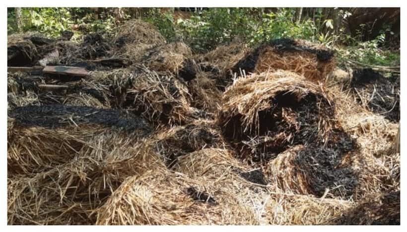 Crime News: గడ్డివాములో ప్రియుడితో భార్య సరసాలు.. సజీవంగా దహనం చేసిన భర్త: పోలీసులు