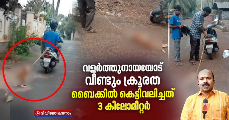 dog cruelty in malappuram