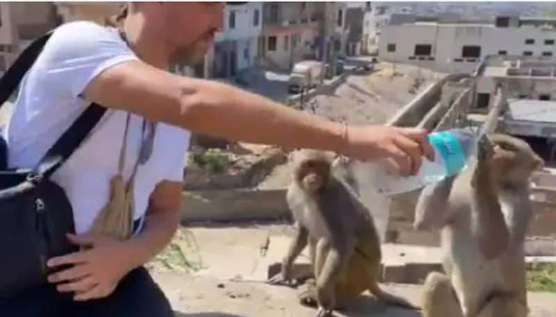 Man helps monkeys drink water from bottle in viral video