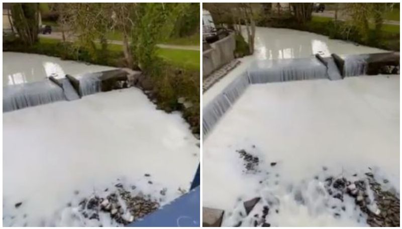 UK River Turns White After Milk Truck Overturns And Spills Contents